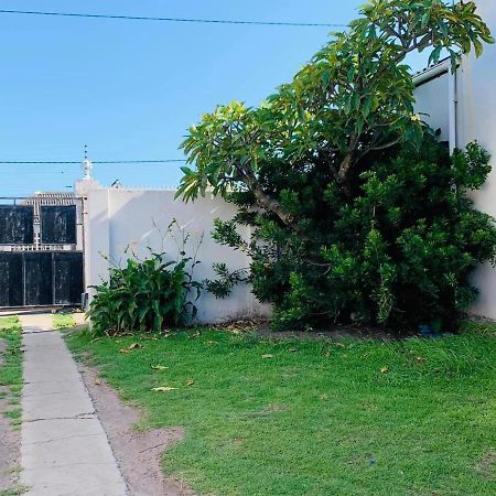 איסט לונדון Palm Heaven B&B מראה חיצוני תמונה