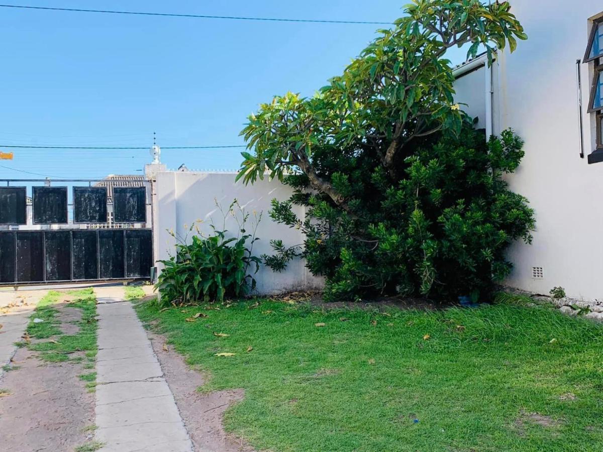 איסט לונדון Palm Heaven B&B מראה חיצוני תמונה